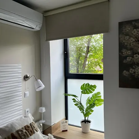 Garden House Madrid