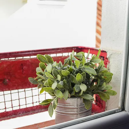 Appartement Bright Mini In The Historic Center