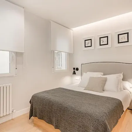 Premium Salamanca Viii Renovated 2br 2bh Apartment Madrid