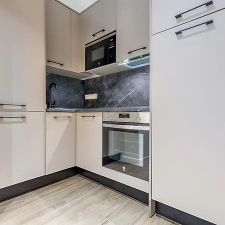Castilla En Apartment Madrid