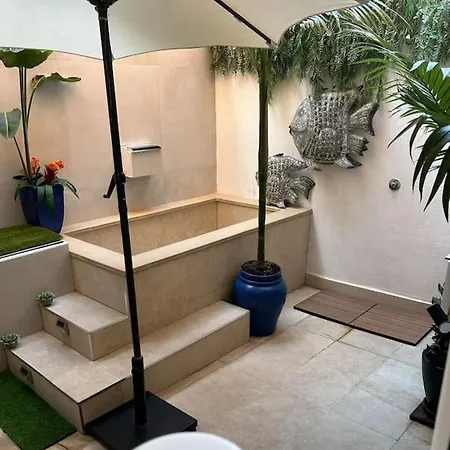 Apartamento Piso De Lujo Con Patio Y Piscina Privada *