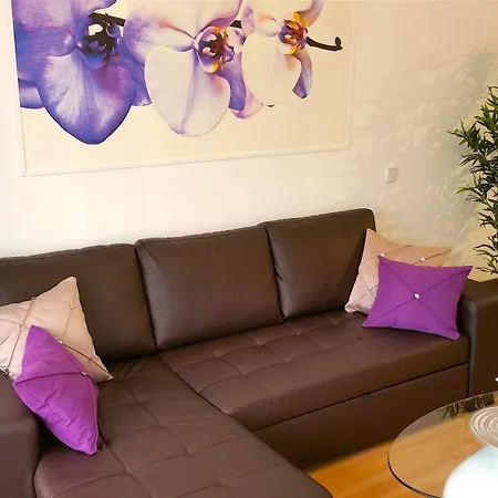 Appartement Palacio