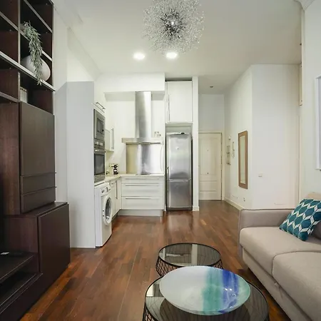 Bright And Cozy-1bedroom 1bathroom-malasana Apartment Madrid