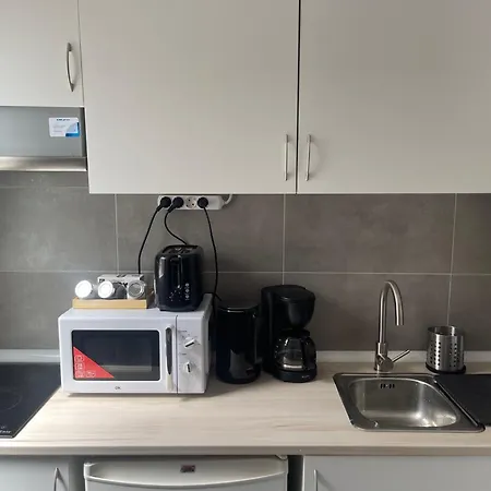 Cenral Renovated Flat Madrid