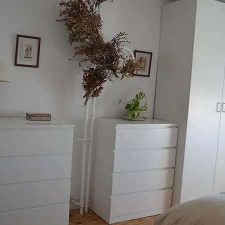 Luxury Renovated With Terrace In Apartment
