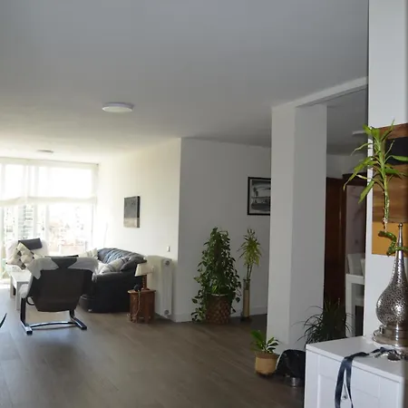 Apartment Luxury Renovated With Terrace In Madrid