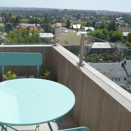 Luxury Renovated With Terrace In Madrid