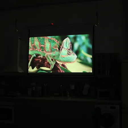Apartamento The Greenhouse *