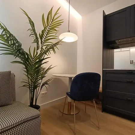 Apartment Acogedor Estudio En Chamberi *
