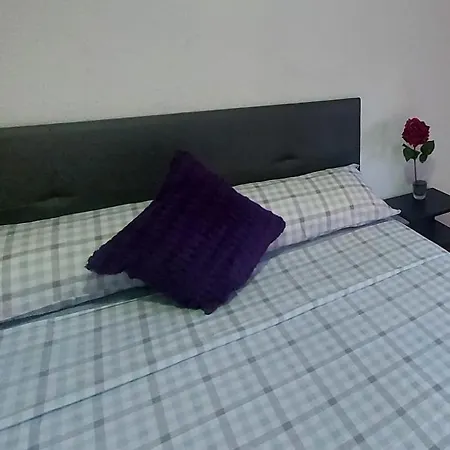 Vivelavida Madrid