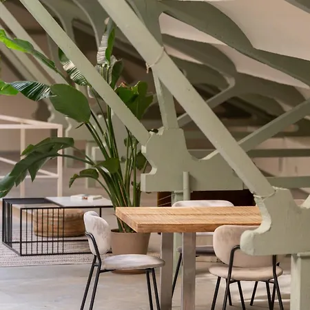 Ola Living Tetuan * Madrid