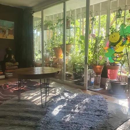 Libros Y Plantas A 5 Minutos Del Centro En Bus