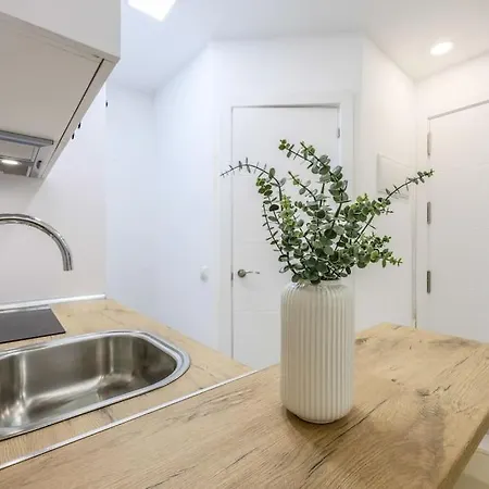 Apartamento Luxe In Tetuan Madrid