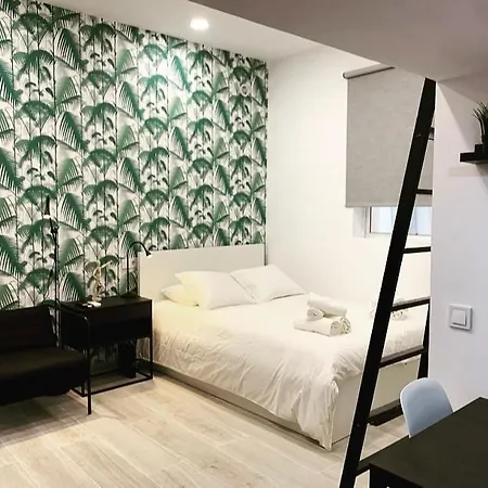 Loft Ii En Apartamento Madrid