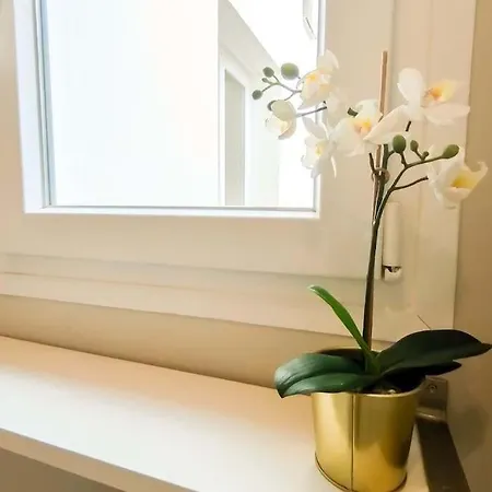 Apartment Acogedora Vivienda En Centro *