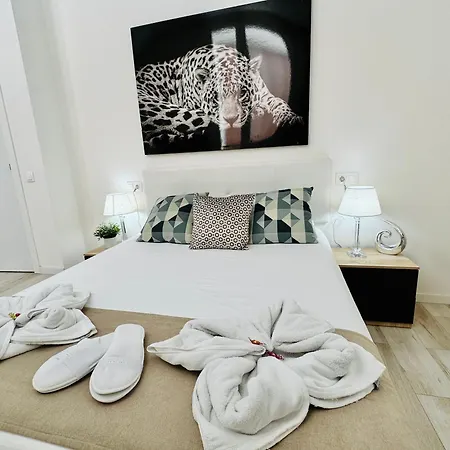 Guest house Cinco Torres Madrid