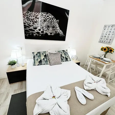 Cinco Torres Guest house