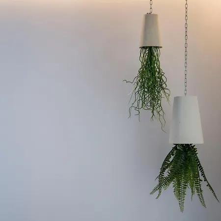 Industrial Loft & Private Courtyard Acacias