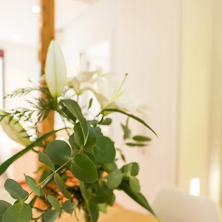 Malasana Apartment Madrid