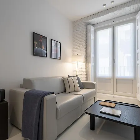 Apartment Reina Sofia Center Madrid