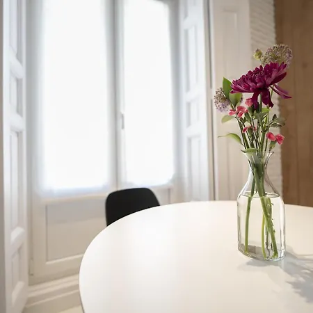 Reina Sofia Center Apartment *