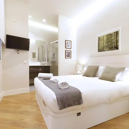 The Star Apartment