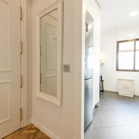 Apartment Chueca Penthouse *