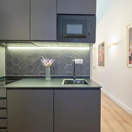 Apartment ºººrs Citycentre Downtown Wifi Ac Smarttvººº Madrid