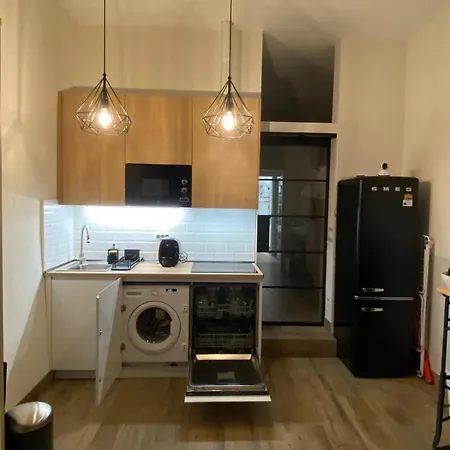 Centrico. Atocha-lavapies. Nuevo. 100% Equipado. Apartment Madrid