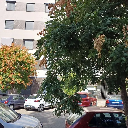 Estudios Nuevos Centro Casa de hóspedes