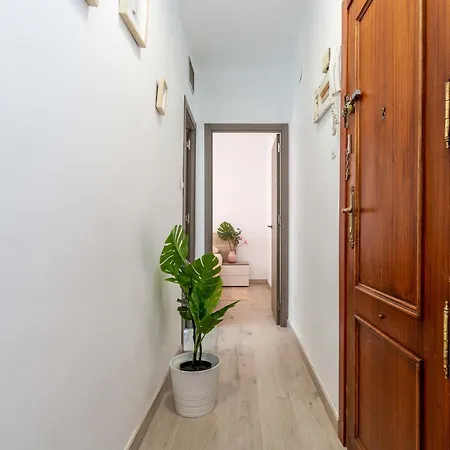 Apartment Acogedor Apartamento 3 Habs Mad Frz16 Madrid