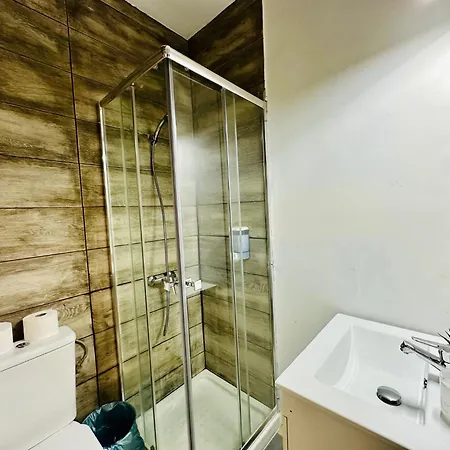 In Downtown Apartment *