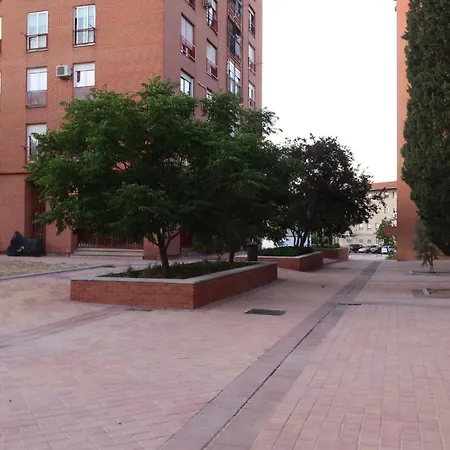 Ama Metropolitano 17