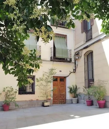 Apartamento Con Patio En Centro *
