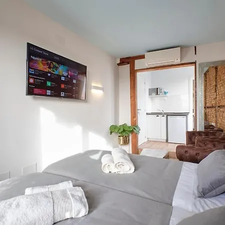 Apartment ºººººpy Historical Citycentre Wifi Ac Smarttvººººº *