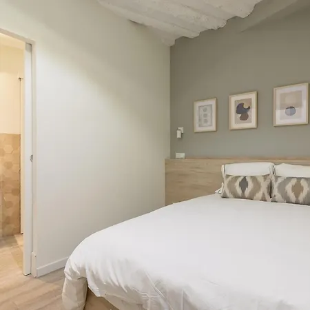 Apartment En Centro. Plaza Mayor