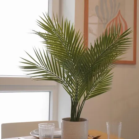 Oporto 1 Apartment