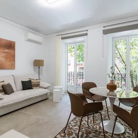Modern And Bright-1bedroom 2bathrooms-la Latina Apartment Madrid