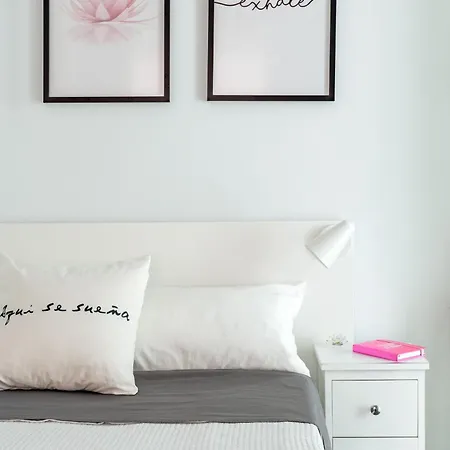 Precioso Y Acogedor Apartamento A 300 Metros Del Bernabeu Apartment Madrid