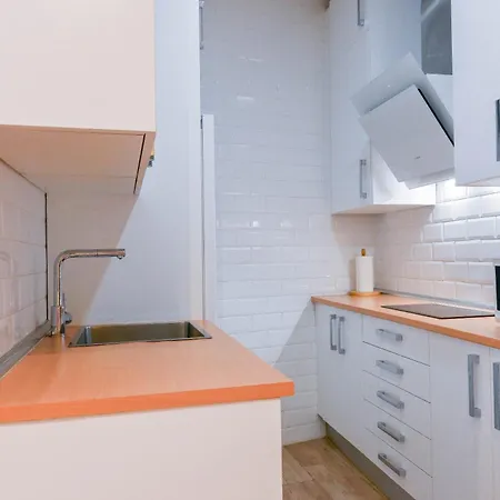 Apartment For Encantadora Vivienda Temporal A Pocos Minutos Del Metro Lavapies Zui33 Madrid