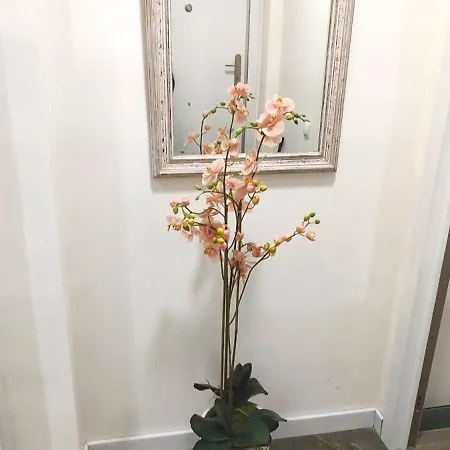 Casa El Oasis