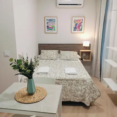 Apartamento Gran Vía *