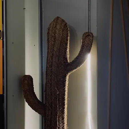 Boga *
