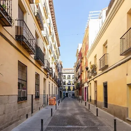 Charming Penthouse In Madrid-centro - Oso * Madrid