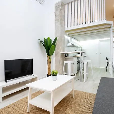 Nuevo Loft Reformado M Vadillo 4pax D Apartment Madrid