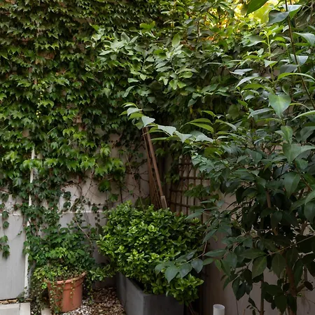 Apartamento Encanto Y Comfort En De Pilar De Zaragoza *