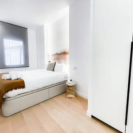 Breton De Herreros 54 Apartment Madrid