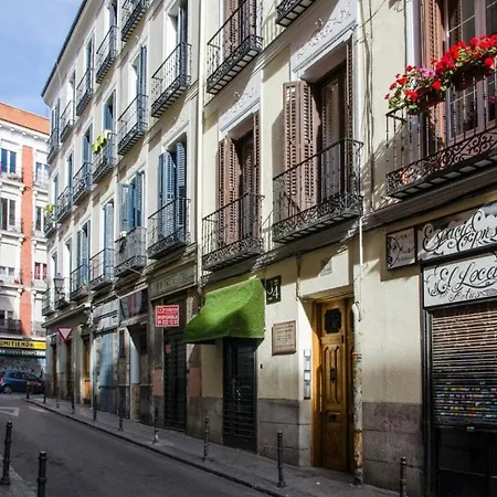 Renovated And Modern- 3bd 2bth- Anton Martin Apartment