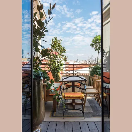 Brach - Evok Collection Madrid