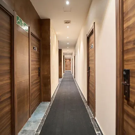 Menoir Dorsett Usera 3*